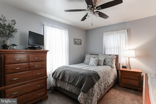 bedroom featuring multiple windows, a ceiling fan, and carpet