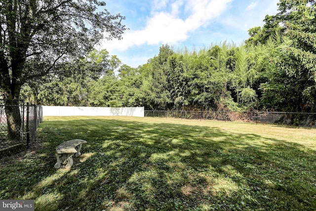 view of yard with a fenced backyard