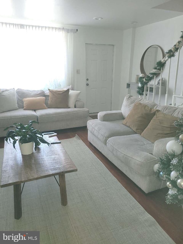 living room featuring wood finished floors