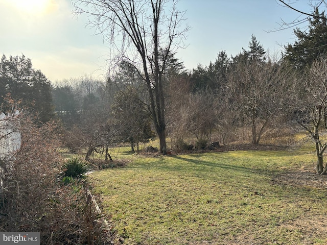 view of yard featuring a forest view