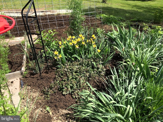 exterior details with a vegetable garden