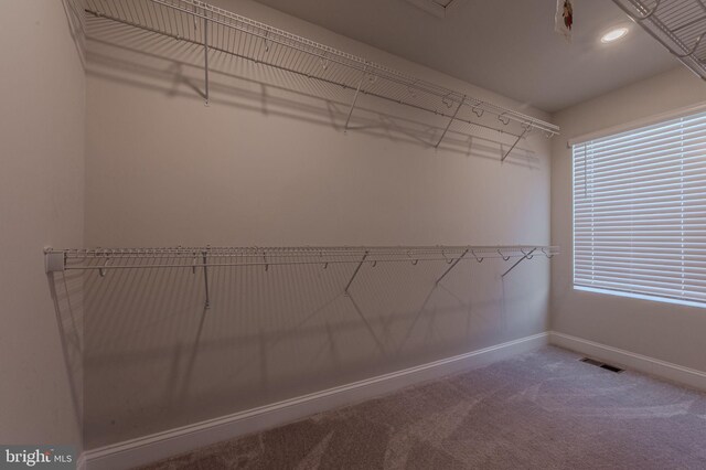 35416 Wright Way, Millsboro, DE 19966 - walk in closet featuring carpet floors and visible vents