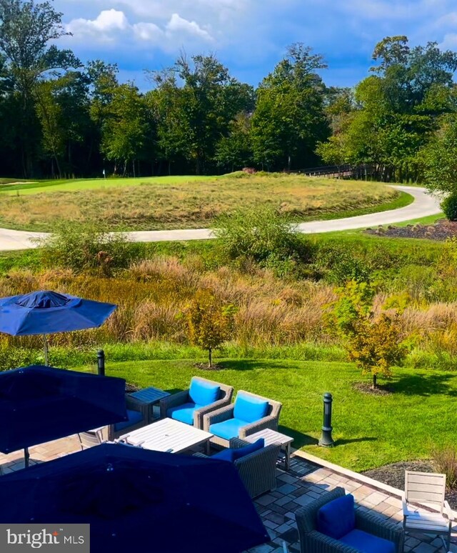 35416 Wright Way, Millsboro, DE 19966 - view of property's community featuring a patio