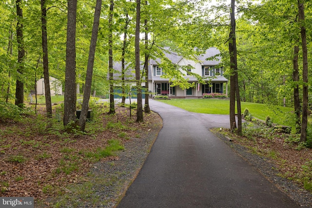 view of front facade with driveway, a shingled roof, and a front lawn