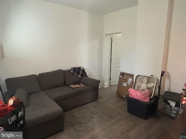 living room featuring wood finished floors