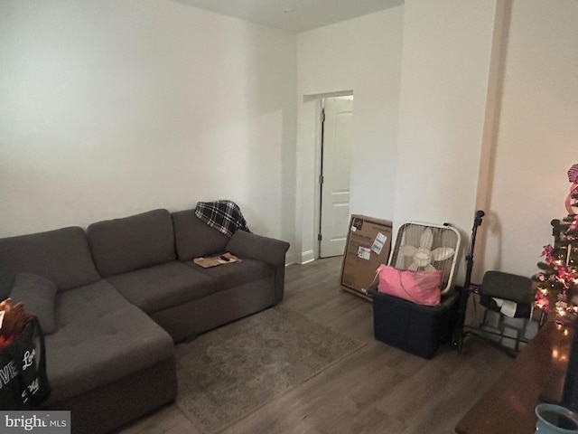 living area with wood finished floors