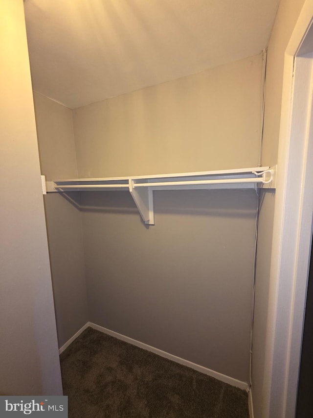 walk in closet with dark carpet