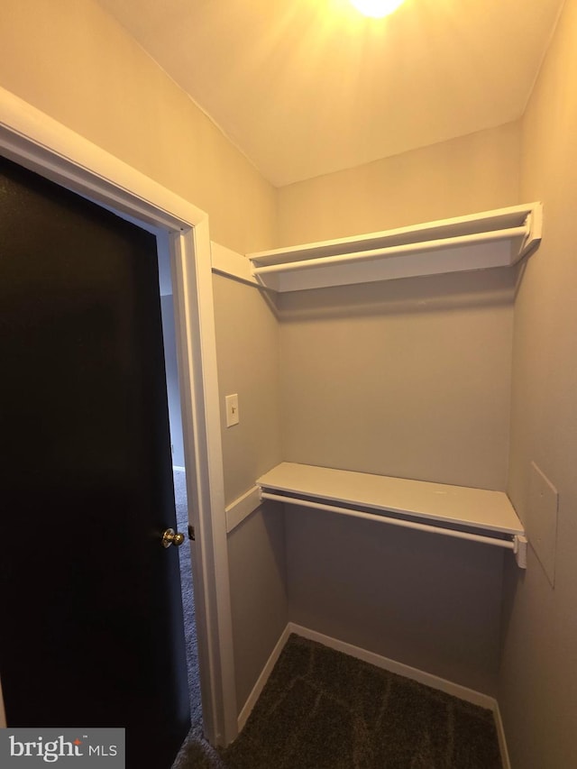 walk in closet featuring dark colored carpet