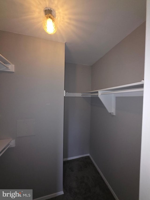 spacious closet featuring dark colored carpet