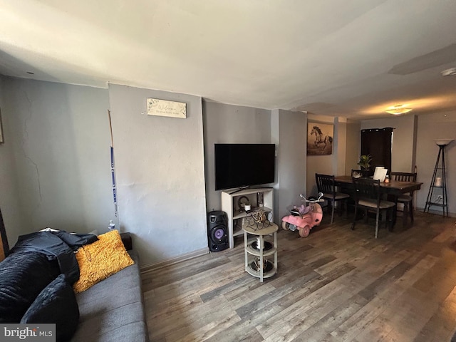 living area featuring wood finished floors