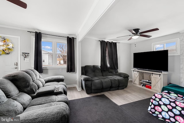 living room with crown molding, ceiling fan, and wood finished floors