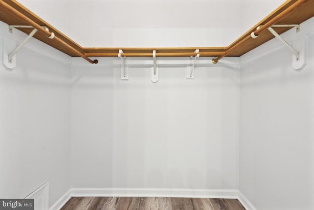 walk in closet featuring wood finished floors