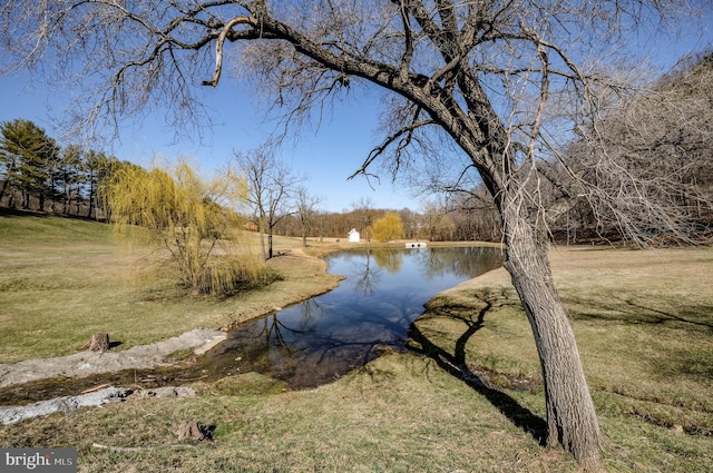 property view of water