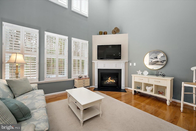 living room with baseboards, a fireplace with flush hearth, and wood finished floors