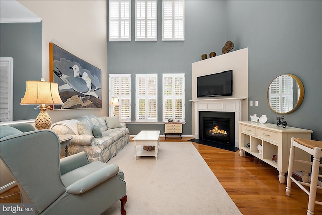 living area featuring a fireplace with flush hearth, a high ceiling, and wood finished floors