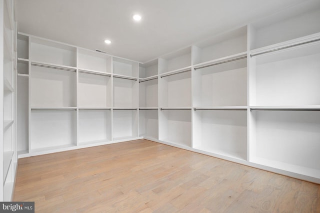 walk in closet featuring wood finished floors