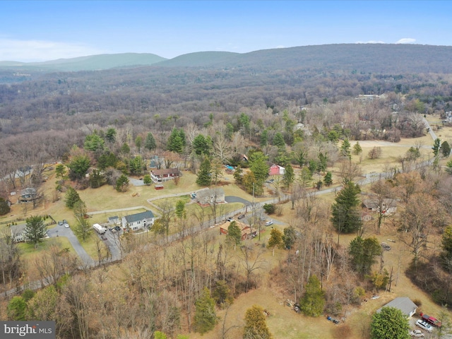 bird's eye view with a view of trees and a mountain view