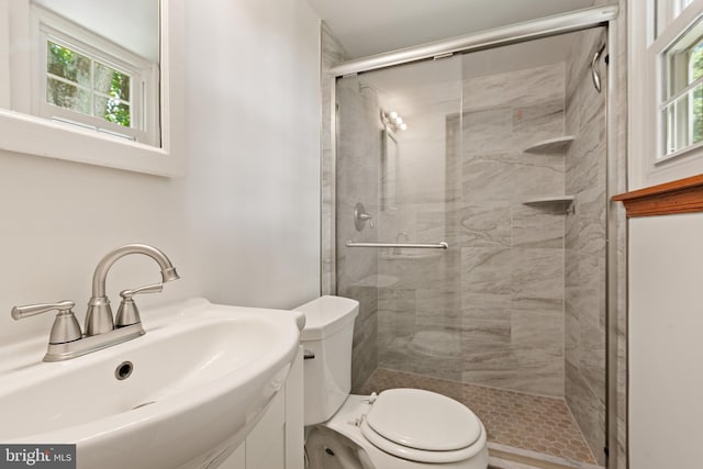 bathroom featuring a shower stall, toilet, and a sink