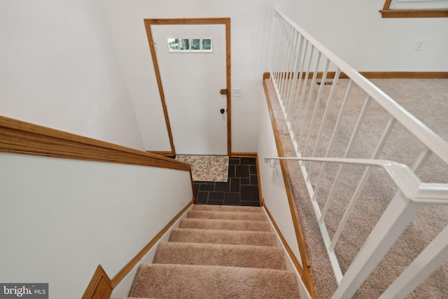 stairs with carpet floors and wainscoting