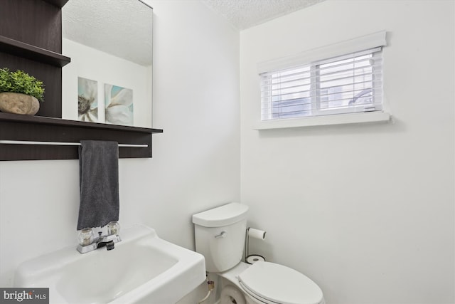 half bathroom with a sink, a textured ceiling, and toilet