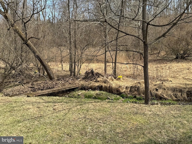 120 Kerr Rd, Reading, PA 19606 - view of yard