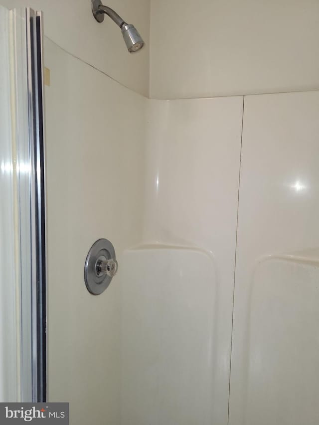 interior details featuring walk in shower