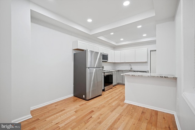 kitchen with a sink, a raised ceiling, light wood-type flooring, and stainless steel appliances