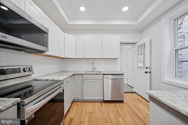 kitchen with a sink, a tray ceiling, light wood-type flooring, and stainless steel appliances