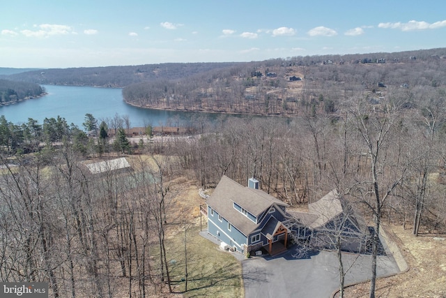 drone / aerial view with a water view and a view of trees