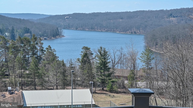 view of water feature featuring a wooded view