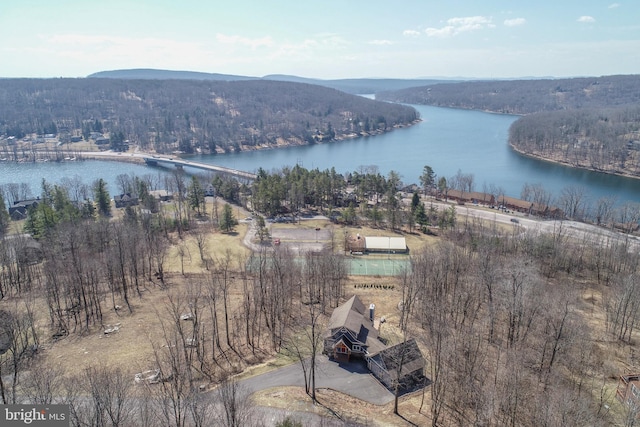 bird's eye view featuring a forest view and a water view