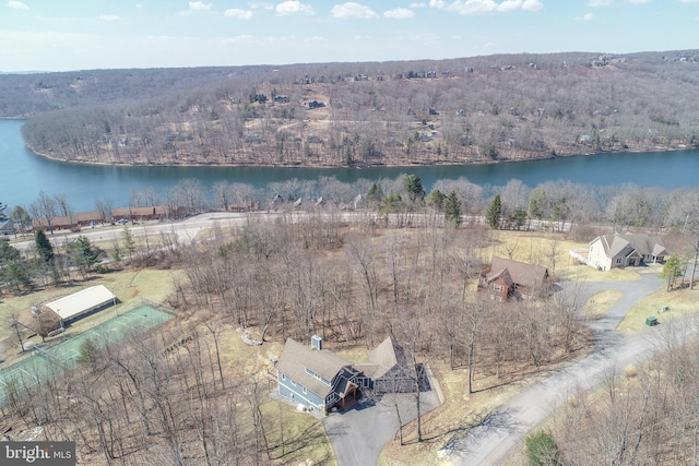 bird's eye view with a view of trees and a water view