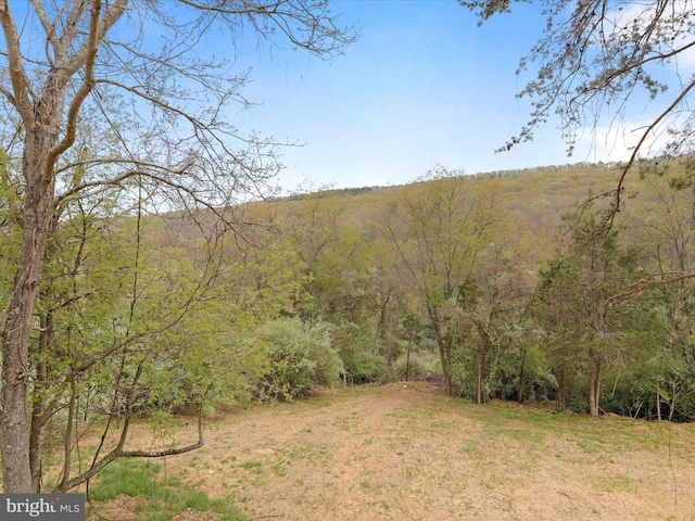 120 Honeymoon Hollow Rd, Lost City, WV 26810 - view of local wilderness with a view of trees