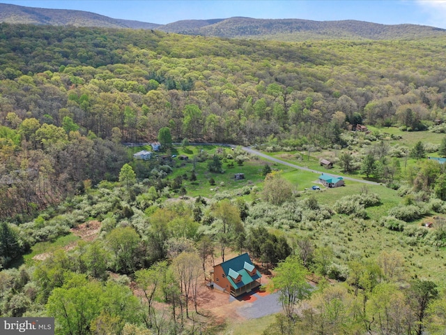 120 Honeymoon Hollow Rd, Lost City, WV 26810 - bird's eye view with a view of trees