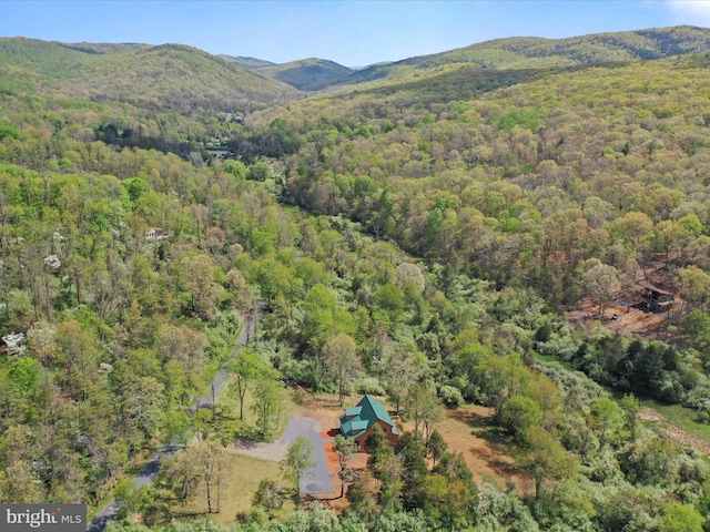 120 Honeymoon Hollow Rd, Lost City, WV 26810 - drone / aerial view with a mountain view and a forest view