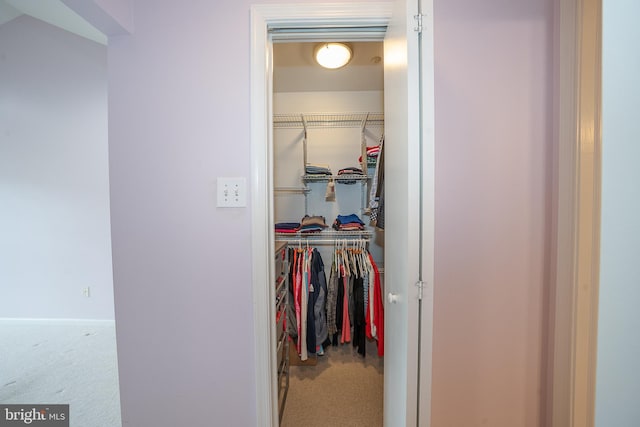 215 Valley Frg, Lookout Place, Wayne, PA 19087 - walk in closet featuring carpet flooring