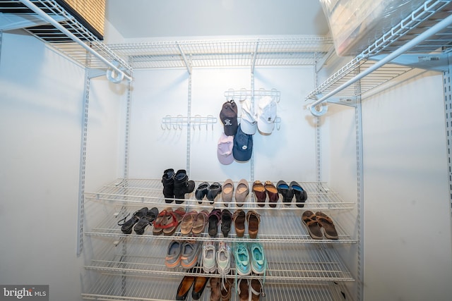 215 Valley Frg, Lookout Place, Wayne, PA 19087 - view of walk in closet