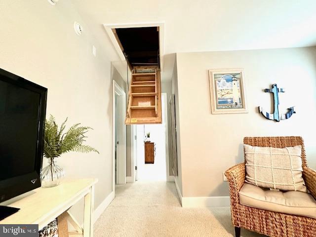 1 E Essex St, Fenwick Island, DE 19944 - hall with light colored carpet and baseboards