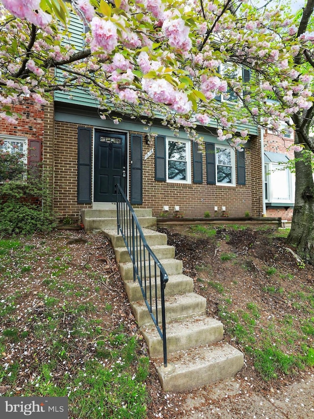 view of front of home featuring brick siding and entry steps