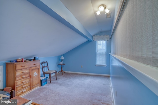 additional living space with lofted ceiling, baseboards, and carpet floors