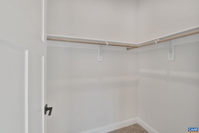 walk in closet featuring carpet