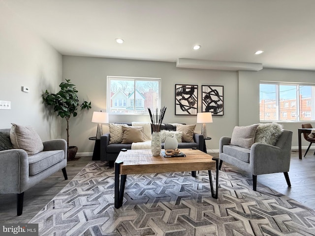 living area featuring baseboards, plenty of natural light, and wood finished floors