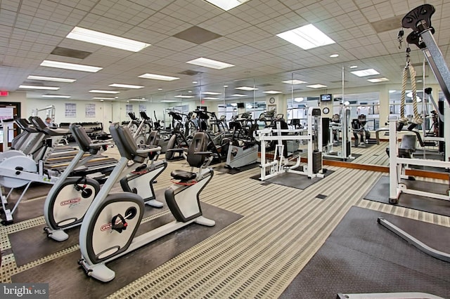 workout area with carpet flooring and a paneled ceiling