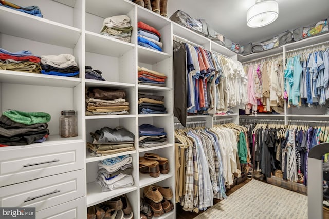 view of walk in closet