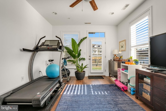 workout room featuring wood finished floors, a ceiling fan, visible vents, and baseboards