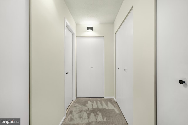 hall featuring light colored carpet and a textured ceiling