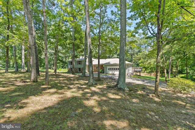 view of yard with driveway