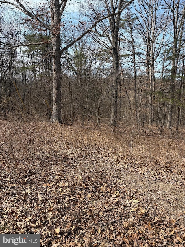 LOT7 Foxes Hollow Rd, Romney WV, 26757 land for sale