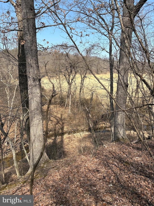 Listing photo 3 for LOT7 Foxes Hollow Rd, Romney WV 26757