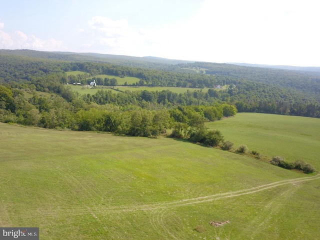 bird's eye view with a forest view and a rural view